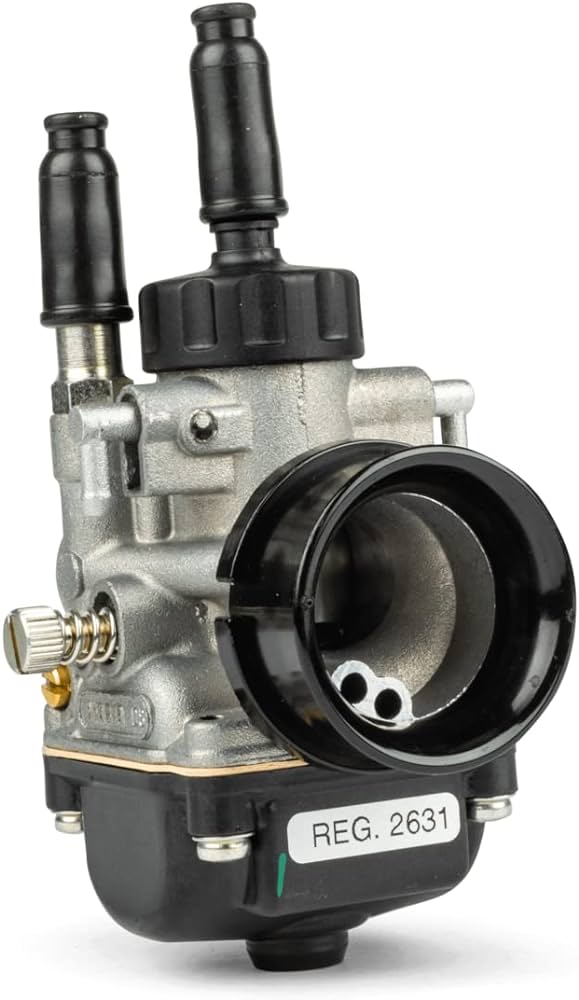 Carburateur 19 DS PHBG Dellorto
